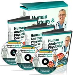 Human Anatomy & Physiology Course